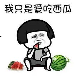 娱乐圈吃瓜的语录